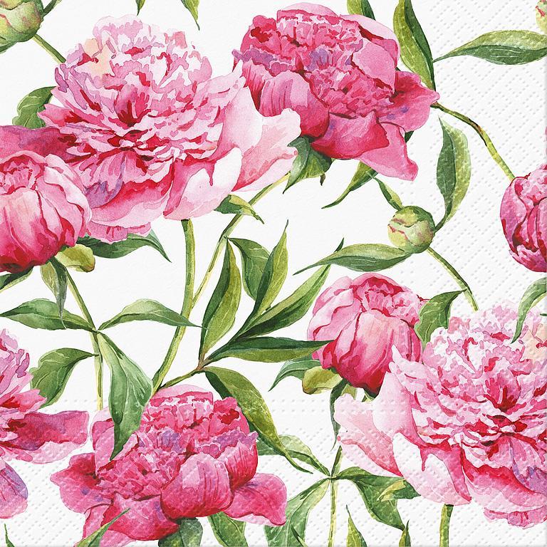 Pink Peonies Paper Napkins - Lunch | Putti Fine Furnishings