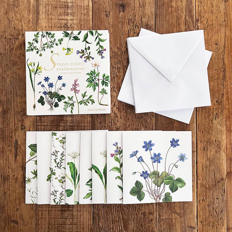 Spring Forest Note Cards