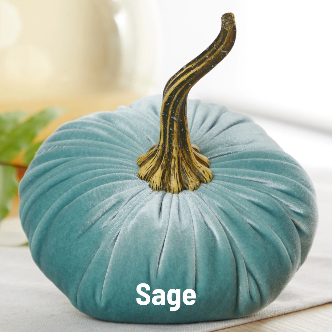 Large Velvet Pumpkin - Sage