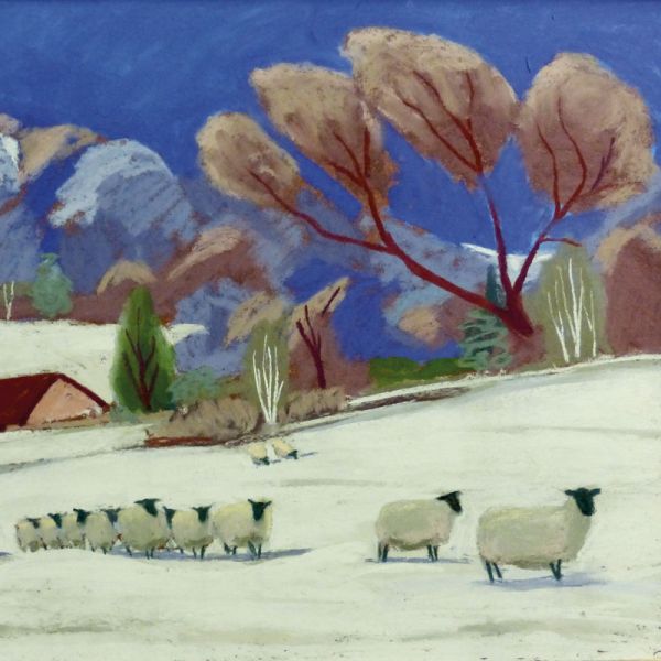 Snowy Sheep Greeting Card | Putti Fine Furnishings