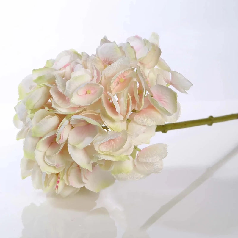 Palest Pink Med Hydrangea short stem stem