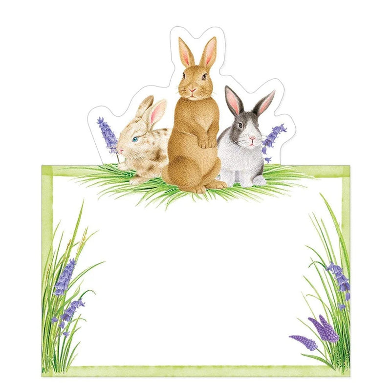 Bunnies And Daffodils Place Cards | Putti Easter Celebrations
