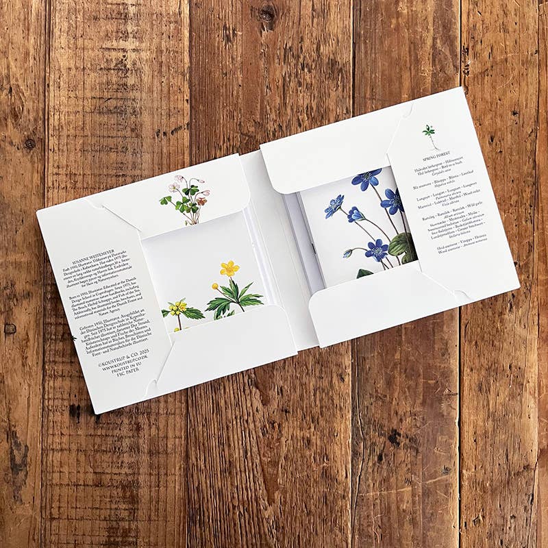 Spring Forest Note Cards