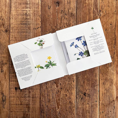 Spring Forest Note Cards