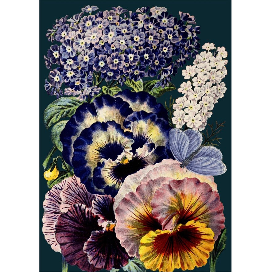 Midnight Botanical Greeting Card | Putti