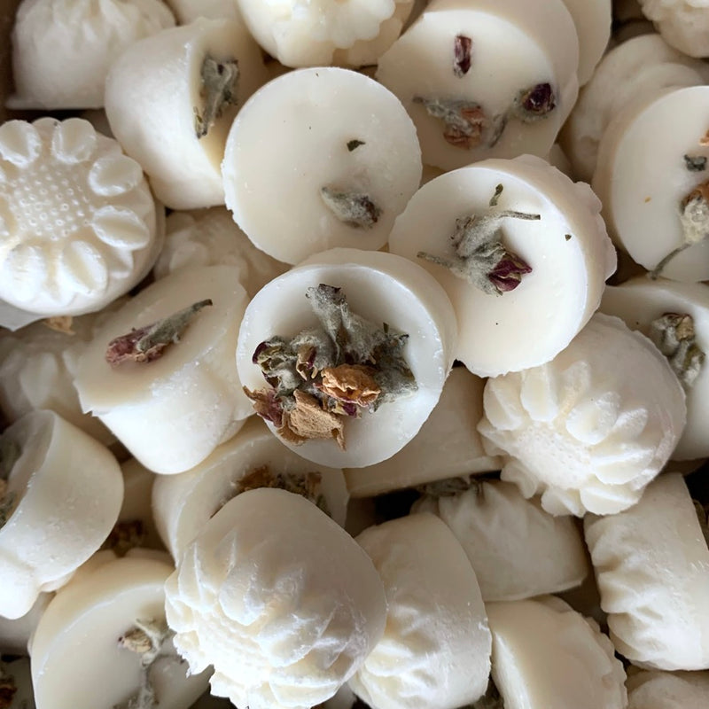 Freckleface Winter Berries Soy Wax Melt | Putti Fine Furnishings Canada