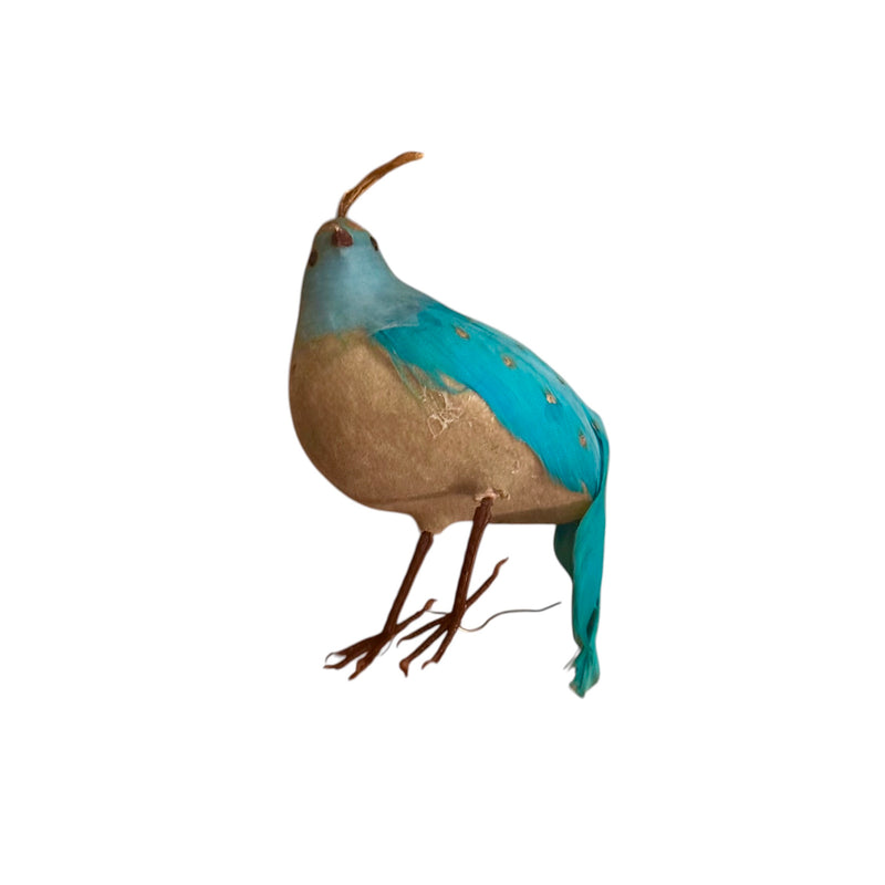 Aqua Feather Partridge