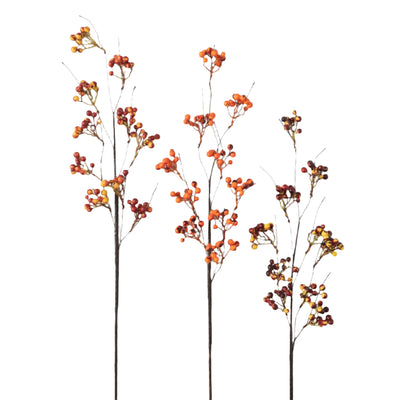 Fall Berry Stem