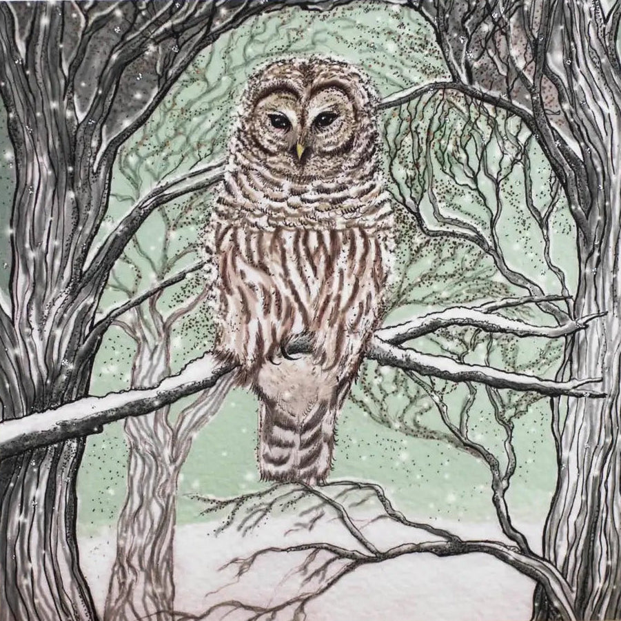 Barred Owl Greeting Card | Putti Fine Furnishings