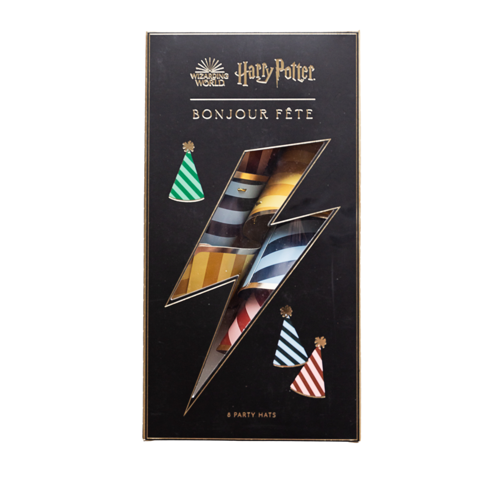Bonjour Fête Harry Potter House Pride Stripe Party Hats | Putti Party Supplies