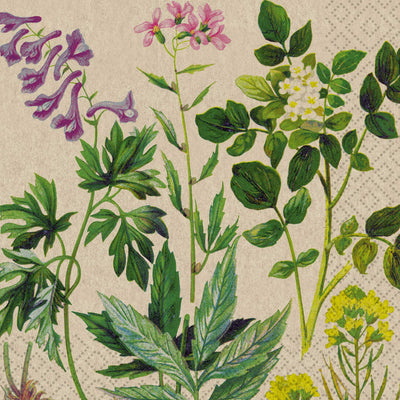 Botanical Pattern Naturals Luncheon Napkin | Putti Party Supplies