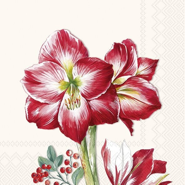 Red Amarylis Paper Napkin - Cocktail  | Putti Christmas Celebrations