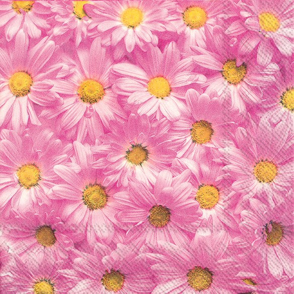 Spring Forever Pink Daisy Paper Cocktail Napkins