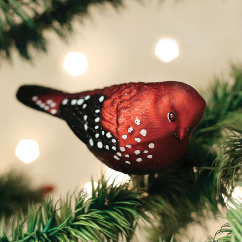 Old World Christmas Strawberry Finch Bird Ornament | Putti Christmas Decorations