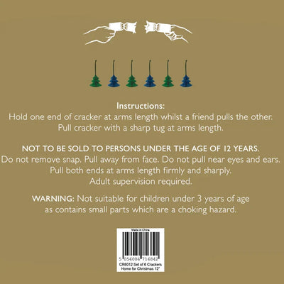 Sophie Allport Home For Christmas Crackers | Putti Christmas Crackers