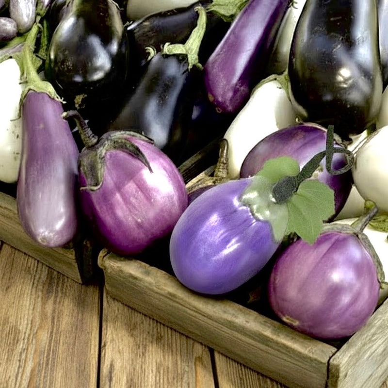 Cody Foster Farmstand Eggplant Glass Ornament  | Putti Christmas Decorations