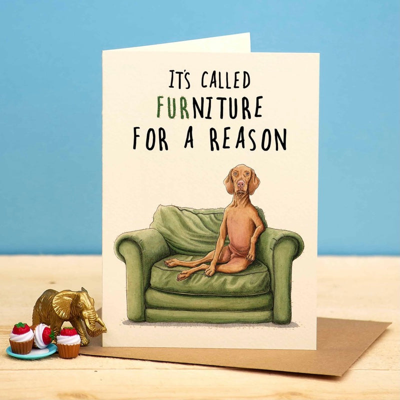 It's called FURniture for a reason" Dog Greeting Card | Putti Greeting Cards Canada