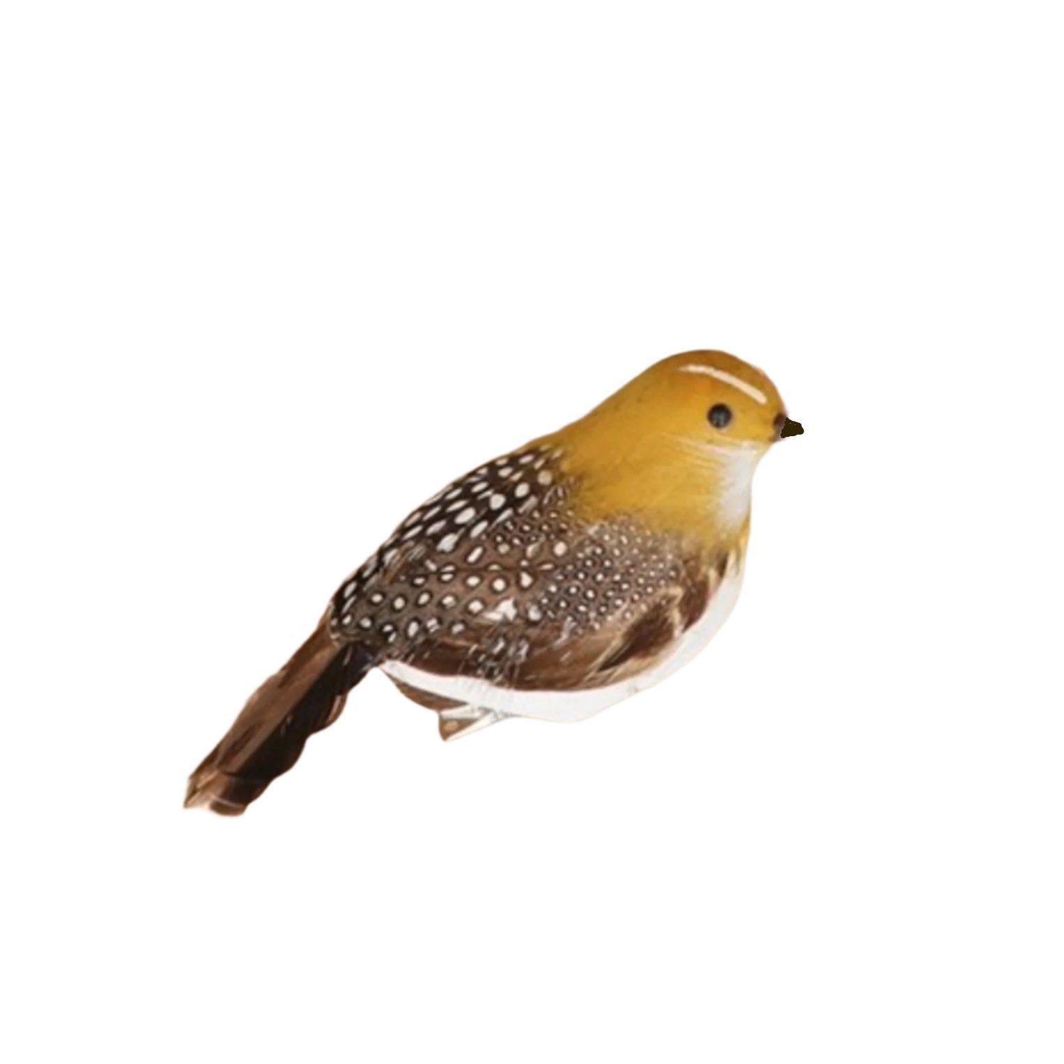 Feather Partridge with Clip | Putti Christmas Decorations