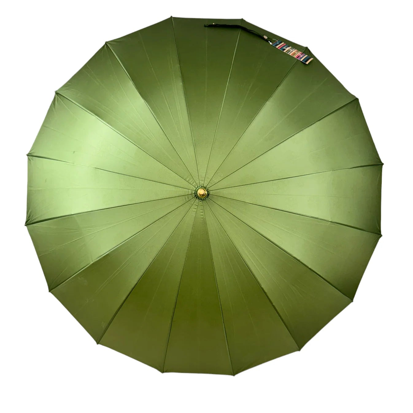 Everyday Classic Colour Change Forest Green
