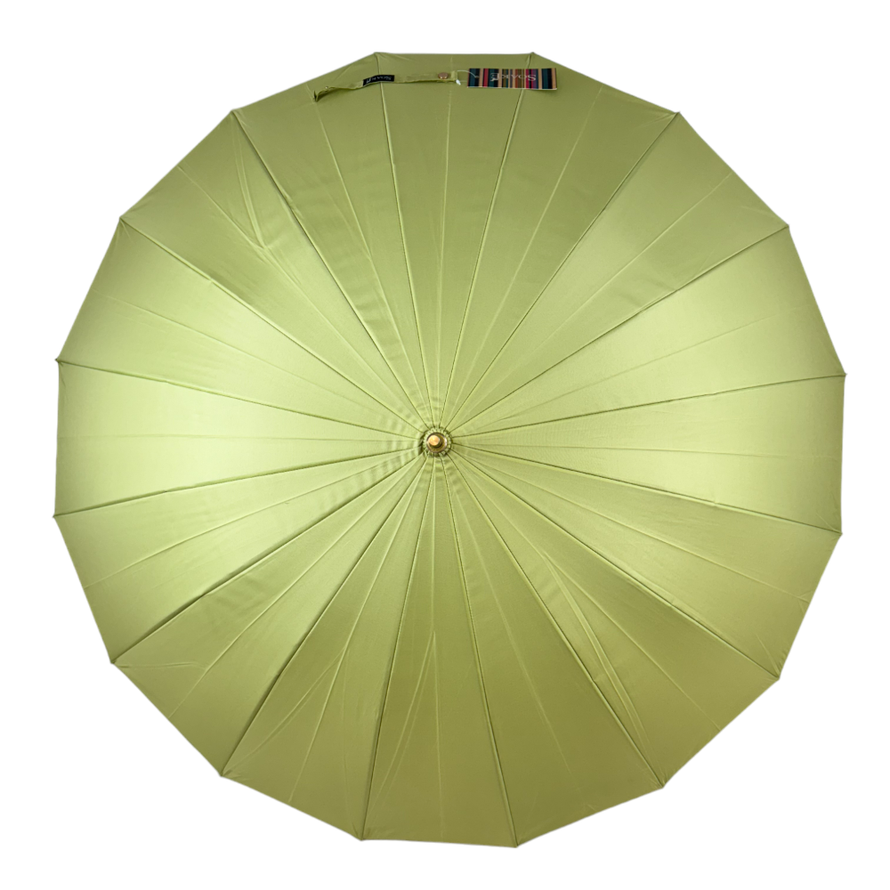 Everyday Classic Colour change Avocado Green | Putti Fine Fashions