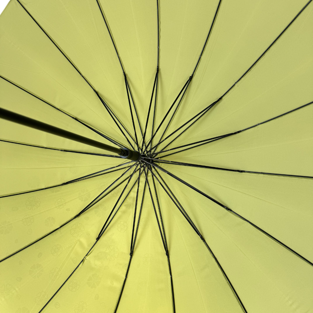 Everyday Classic Colour change Avocado Green | Putti Fine Fashions