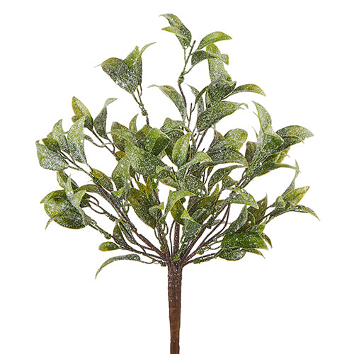 Iced Laurel Leaf Pick | Putti Christmas Decor