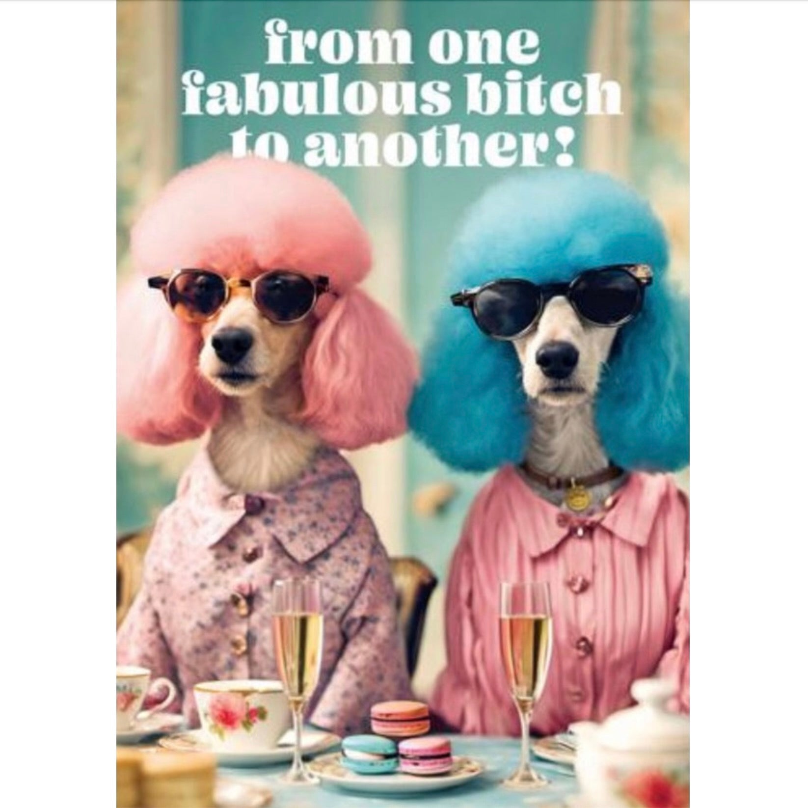 "From one fabulous bitch to another" Greeting Card