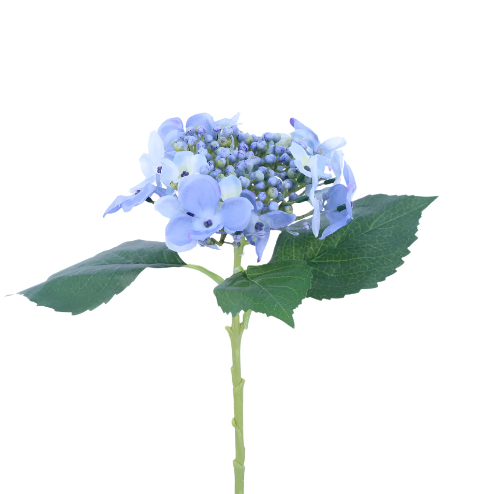 Budding Hydrangea - Blue | Putti Fine Furnishings