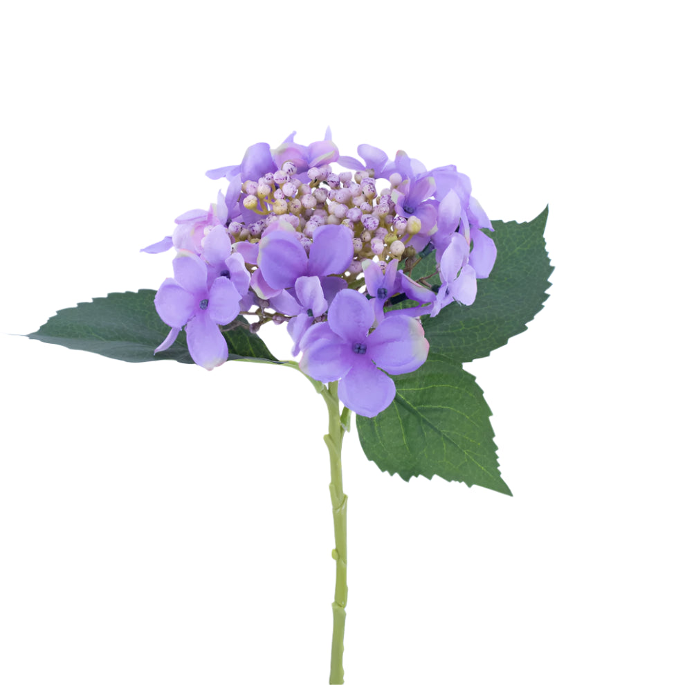 Budding Hydrangea - Purple
