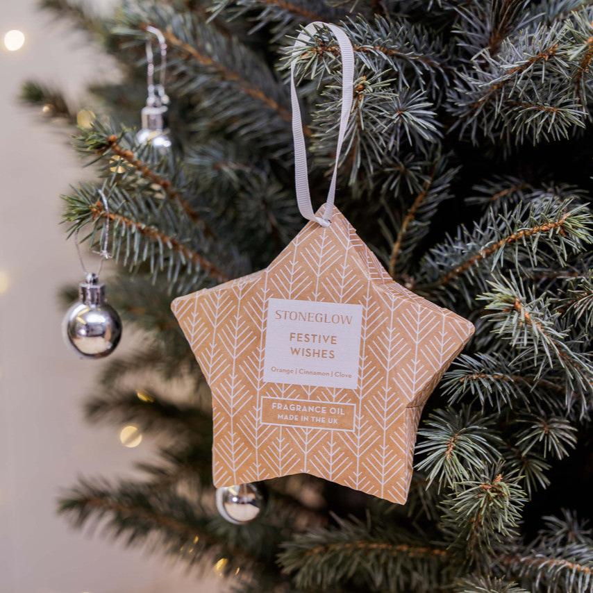 Festive Wishes Orange Cinnamon & Clove Fragrance Oil | Putti Christmas