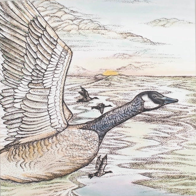 Flying Canada Geese Greeting Card | Putti Fine Furnishings