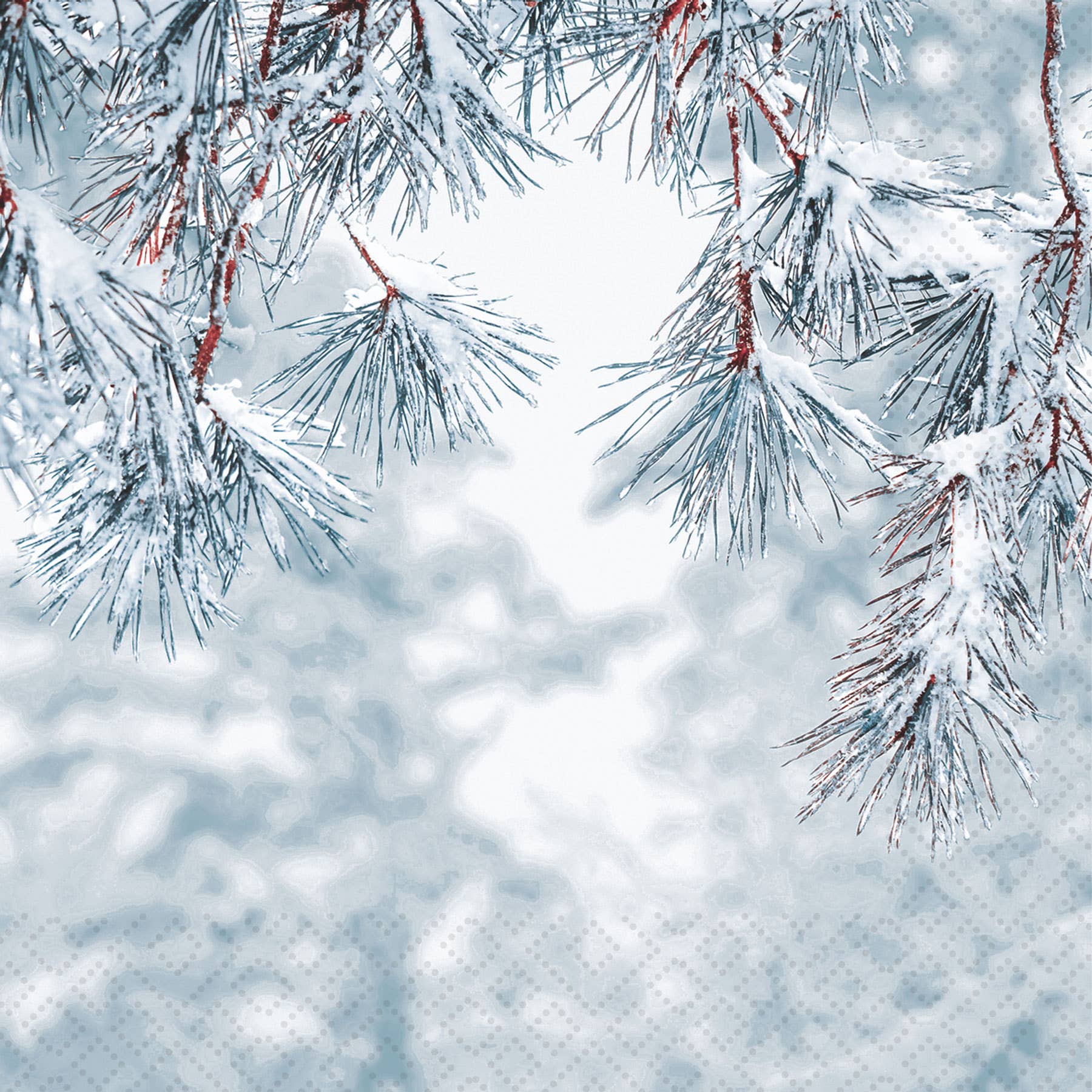 Frosty Pine Paper Lunch Napkin | Putti Christmas Entertaining