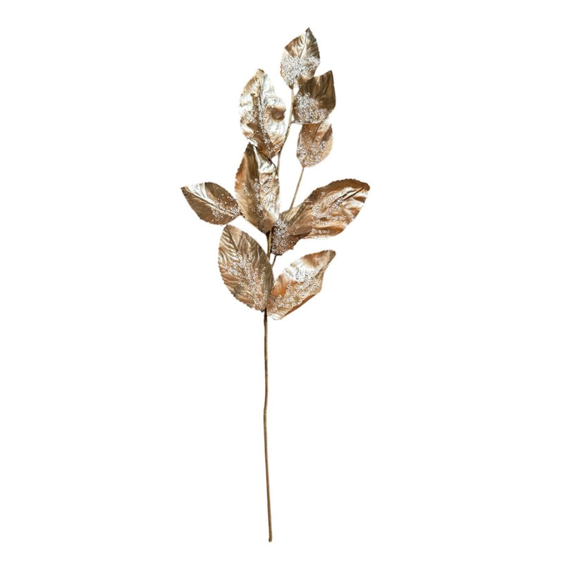 Gold Iced Magnolia Leaf Spray | Putti Christmas Decoration
