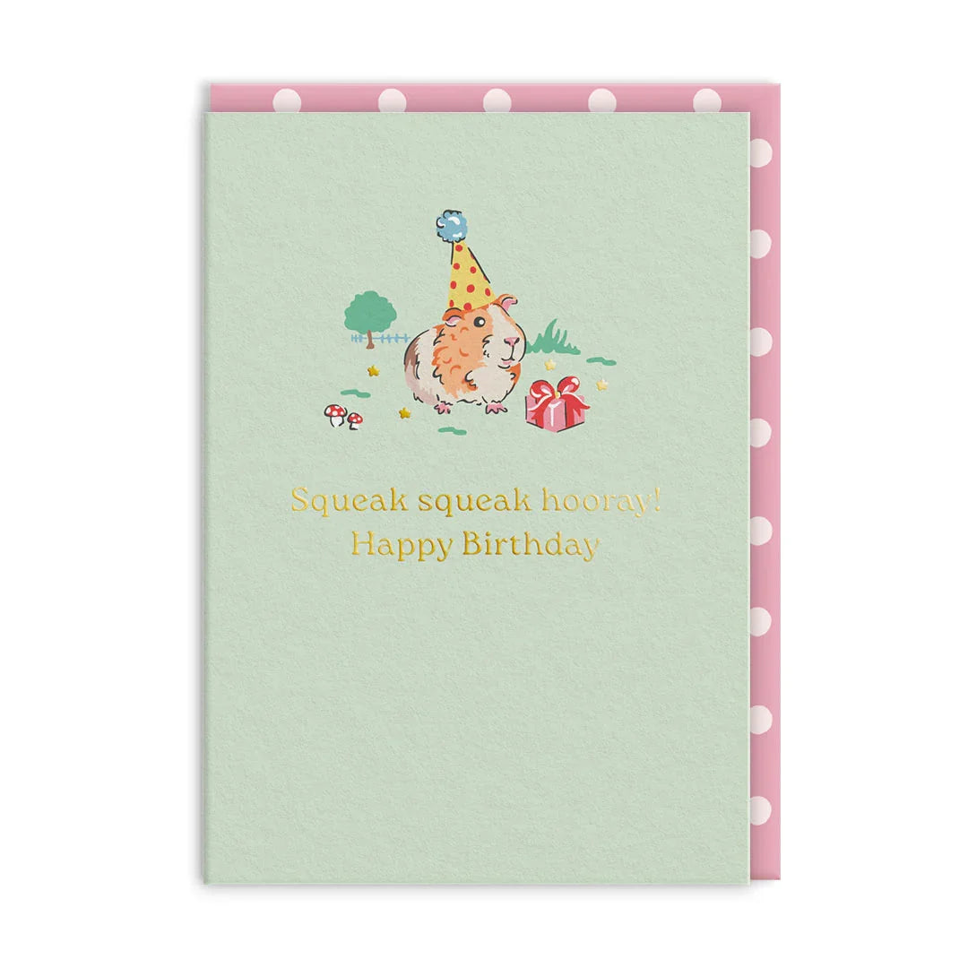 Cath Kidson "Happy Birthday"Guinea Pig Card