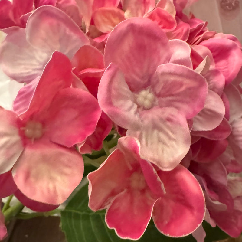 Hot Pink Hydrangea Stem