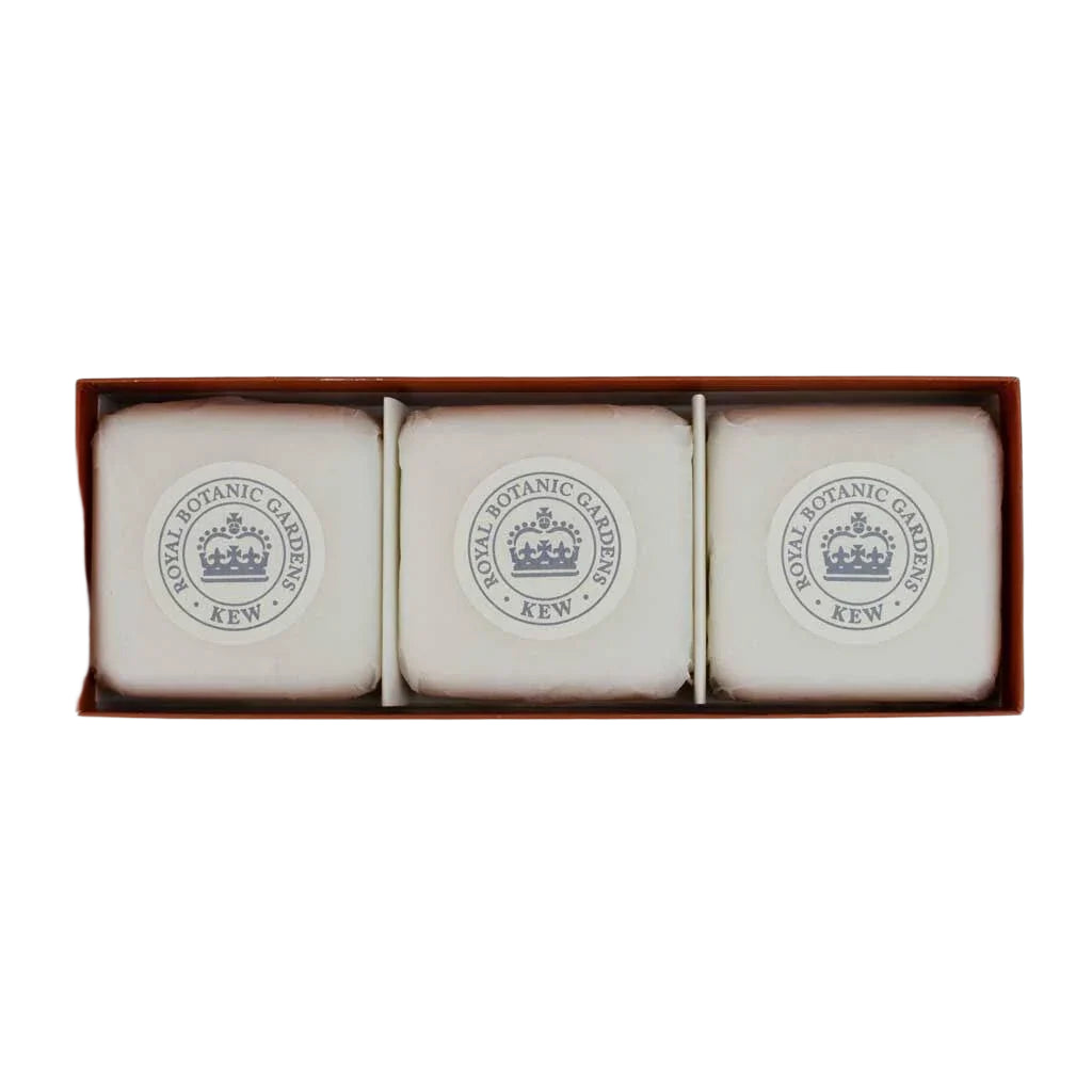 Kew Gardens Bergamot & Ginger Luxury Soap Gift Box | Putti Fine Furnishings