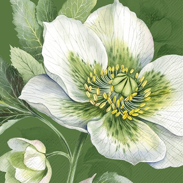 Green Christmas Rose Paper Napkin - Lunch | Putti Christmas Party Supplies