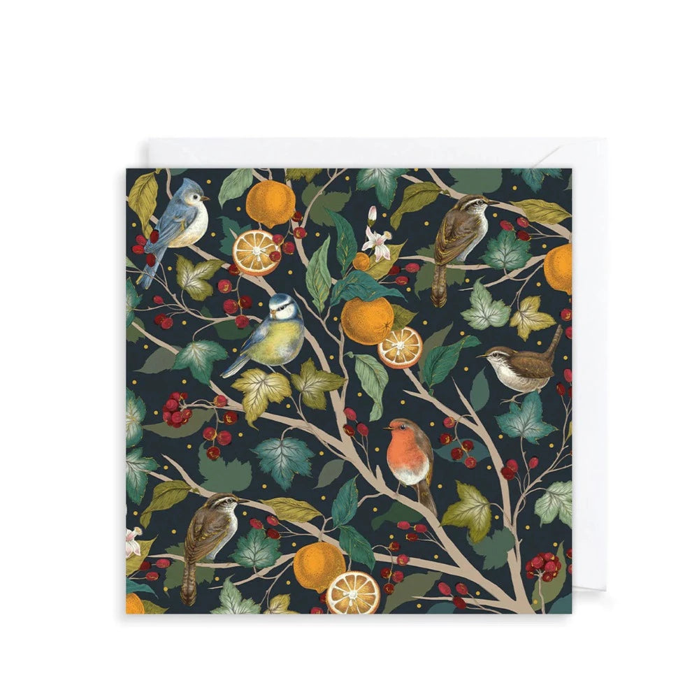 Winter Birds in a Fruit Tree Boxed Christmas Cards