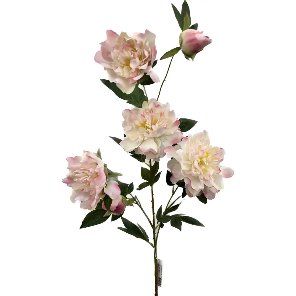 Light Pink Multi Peony Stem | Putti Fine Furnishings