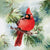 Cardinals on Pine Branch Paper Lunch Napkins | Putti Christmas 
