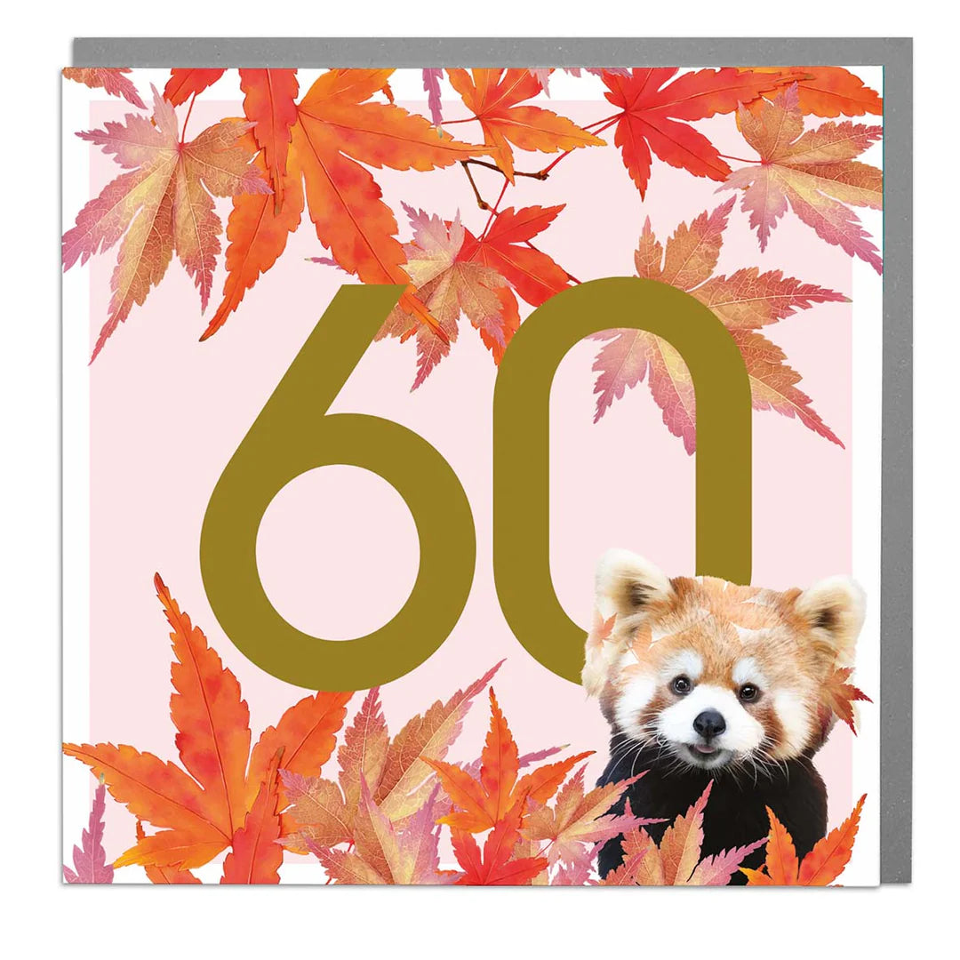 Panda "60" Greeting Card | Putti Celebrations