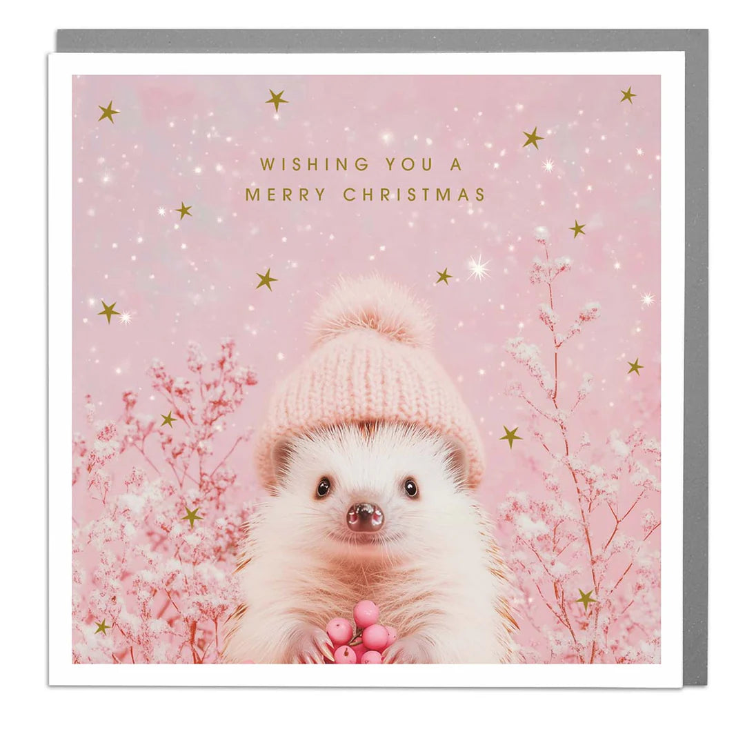"Wishing you a Merry Christmas" Hedgehog Greeting Card