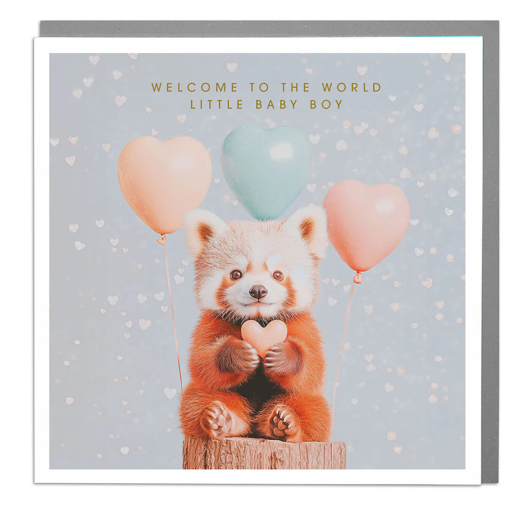 Red Panda "Little Baby Boy" Greeting Card  | Putti Fine Furnishings