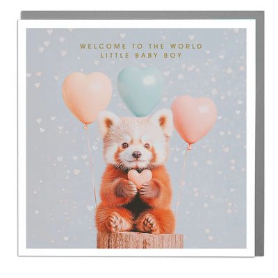 Red Panda "Little Baby Boy" Greeting Card | Putti Fine Furnishings