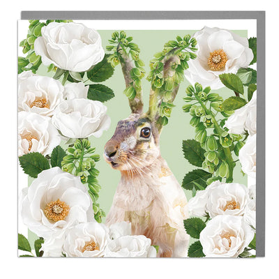 Hare with Poppies Greeting Card | Putti Celebrations