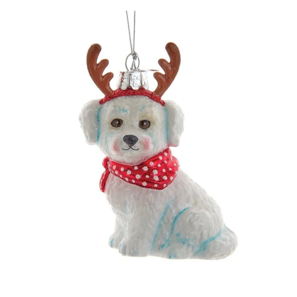 Kurt Adler Bichon Frise with Antlers Glass Ornament