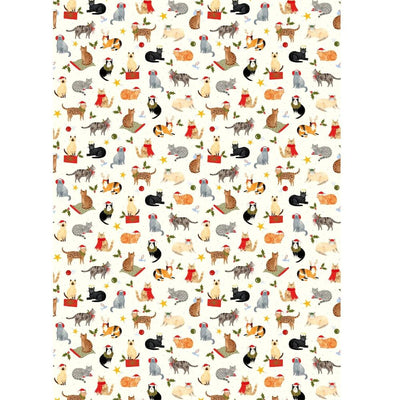 Santa Paws Cats Wrapping Paper Roll | Putti Christmas