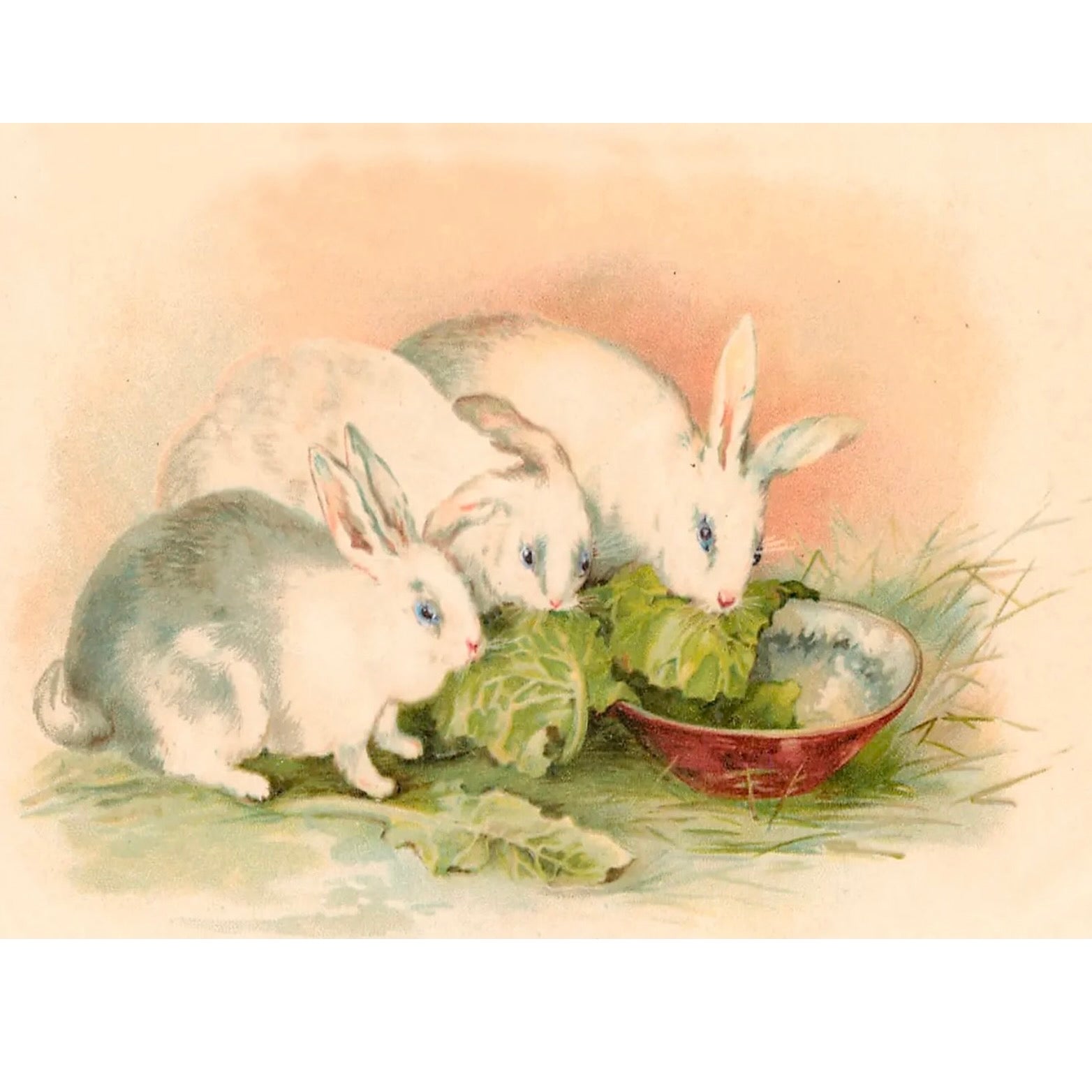 Rabbits with Lettuce Glittered Little Vintage Greeting Card