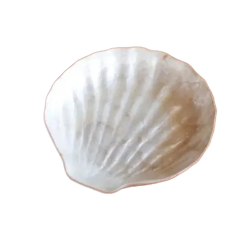Capiz Shell Serving Plate