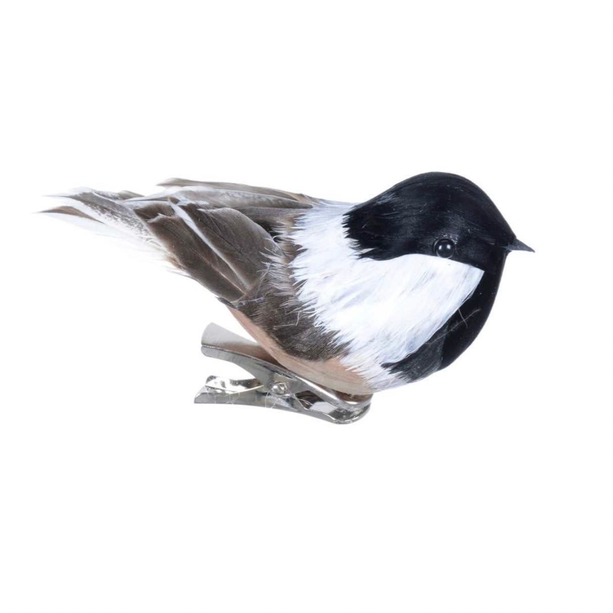 Feather Chickadee on Clip